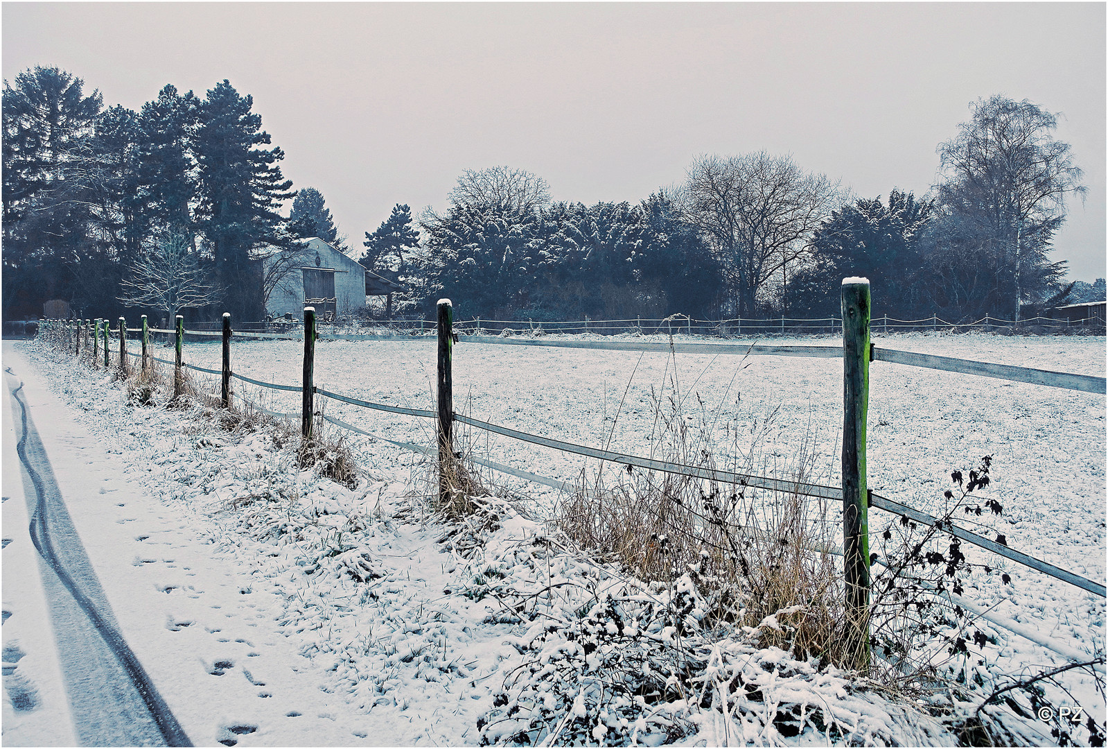 Reload: Der 1. Schnee im neuen Jahr ...