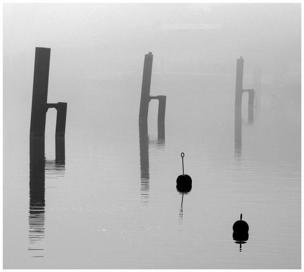 Reload - friesischer Nebel ohne Äste