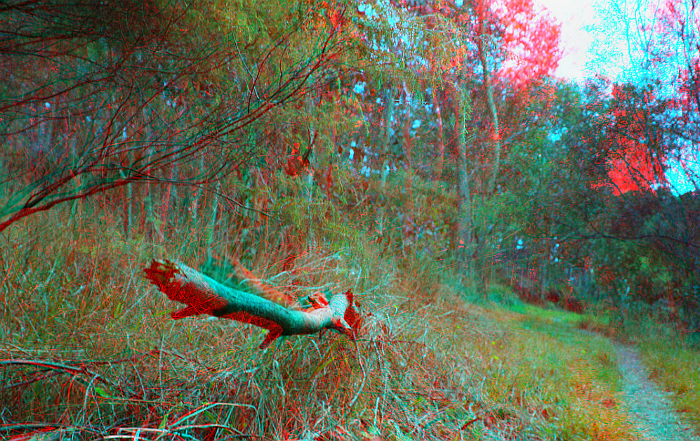 Reload für Richard Fischer 3D Ana-rot/cyan)