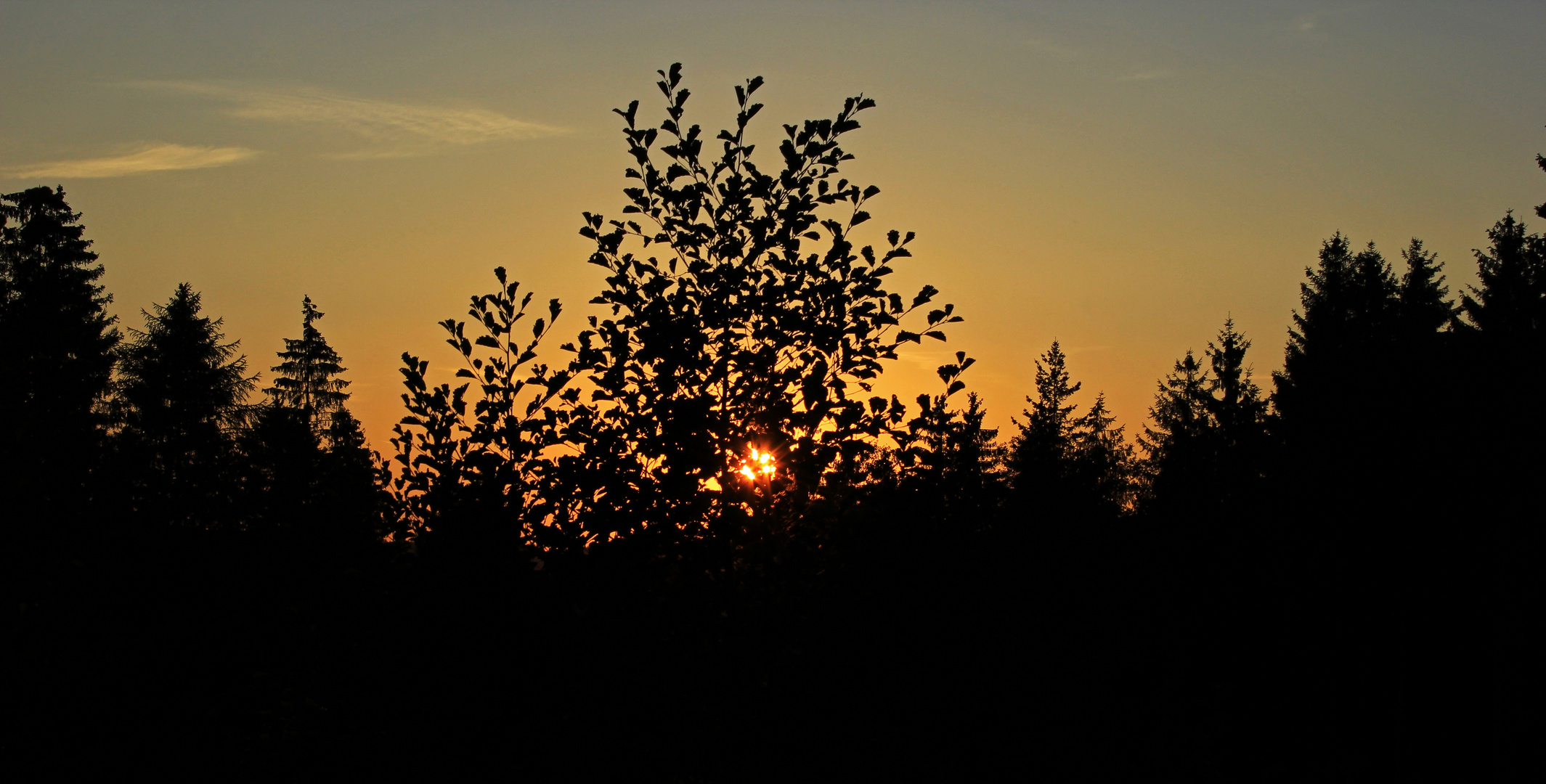 Reload von Abend am Altenberg (bei Kreuztal-Littfeld) 1