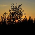 Reload von Abend am Altenberg (bei Kreuztal-Littfeld) 1