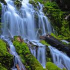 Reloaded Proxy Falls