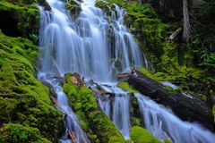 Reloaded Proxy Falls