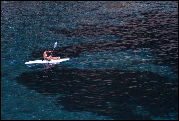 REMANDO EN EL PROCELOSO MAR