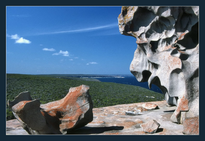 Remarkable Rocks - The lions head