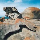 Remarkables Rocks