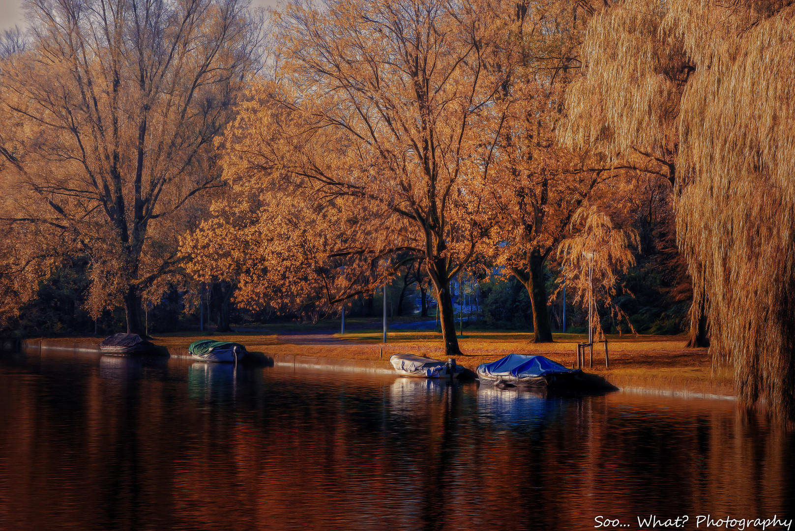 Rembrandt Park