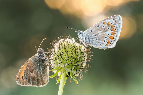 Remember September_03