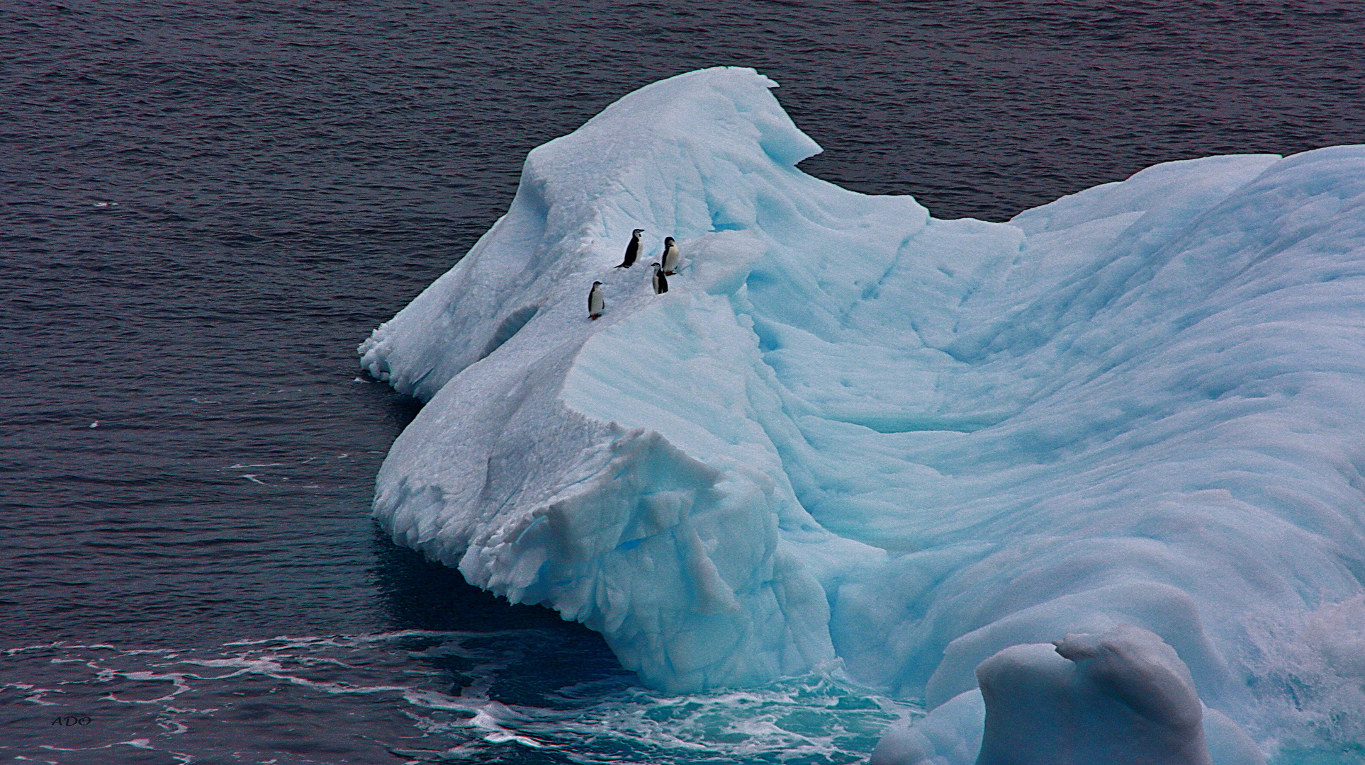 Remembering Antarctica