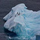 Remembering Antarctica