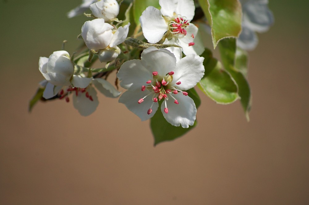 Remembering spring.....