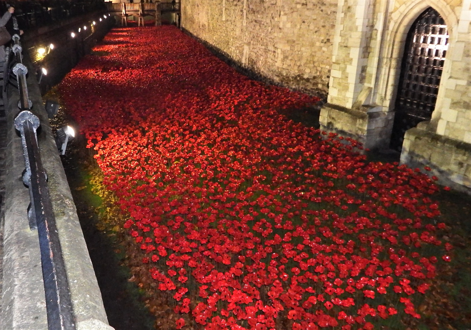 Remembrance Poppy