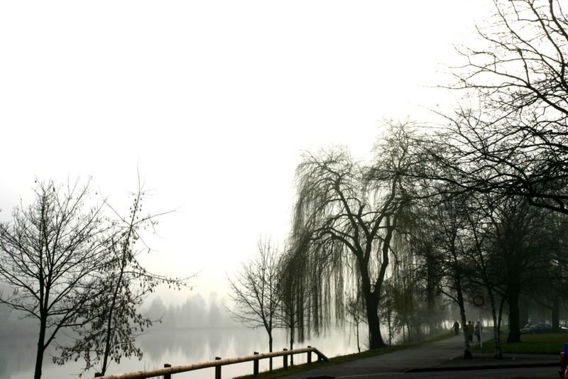 Remich an der Mosel in Winternebel