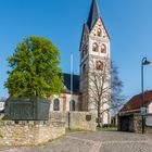 Remigius-Kirche Ingelheim 26