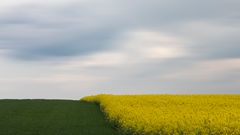 Reminiszenz an den Frühling