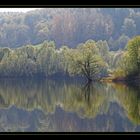 Reminiszenz an den Frühling