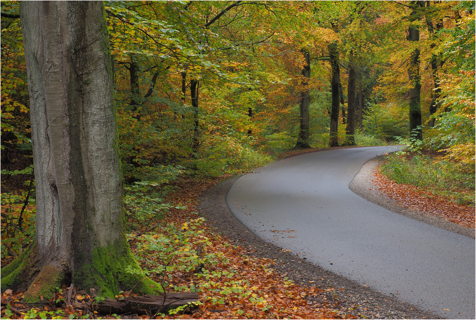 Reminiszenz an den letzten Herbst