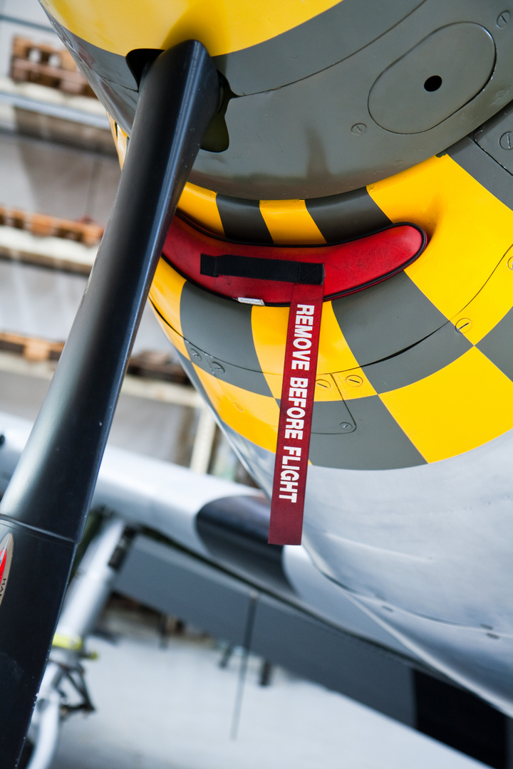 Remove before flight.