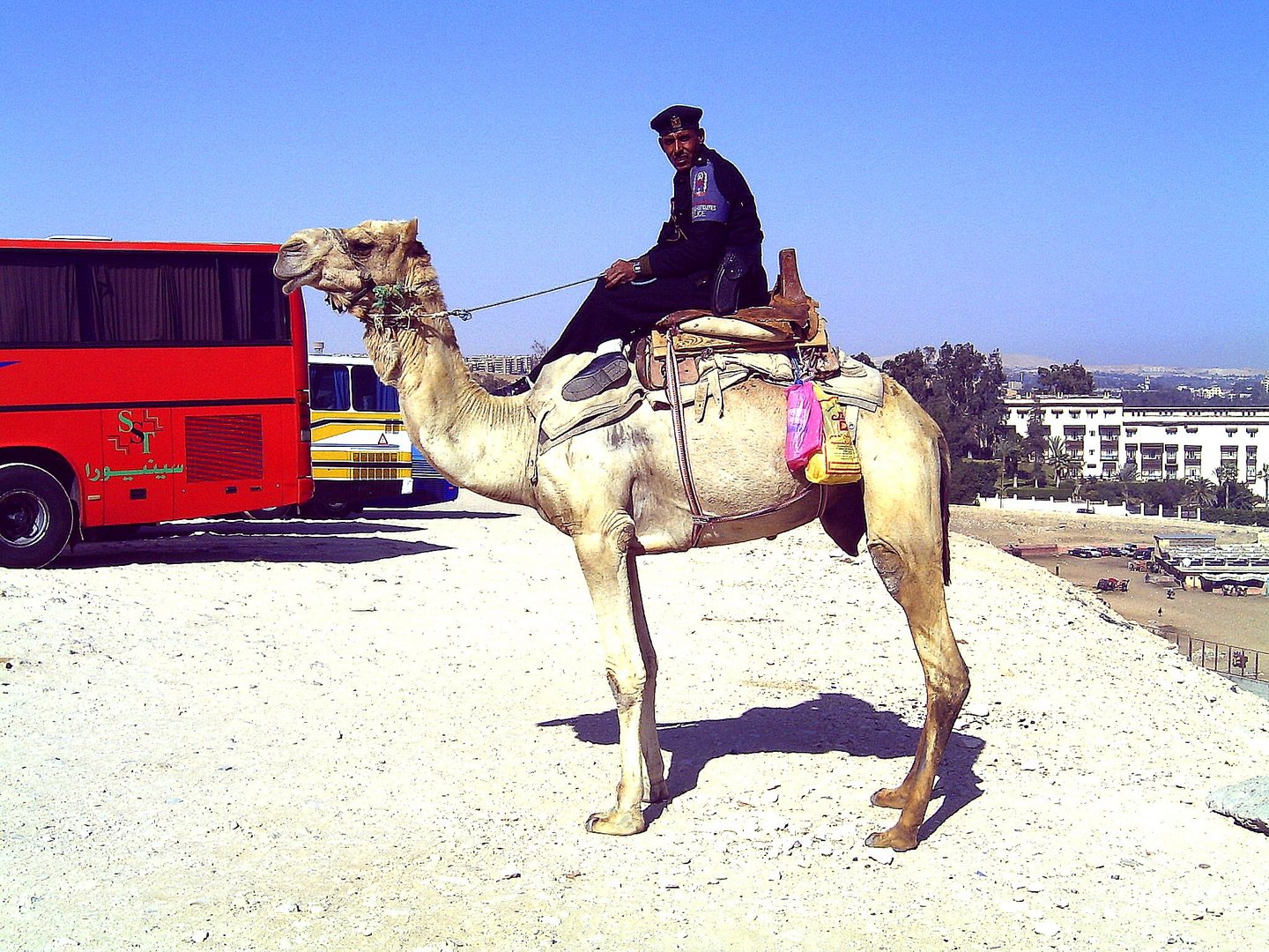 R.E.M.P. - Royal Egyptian Mounted Police