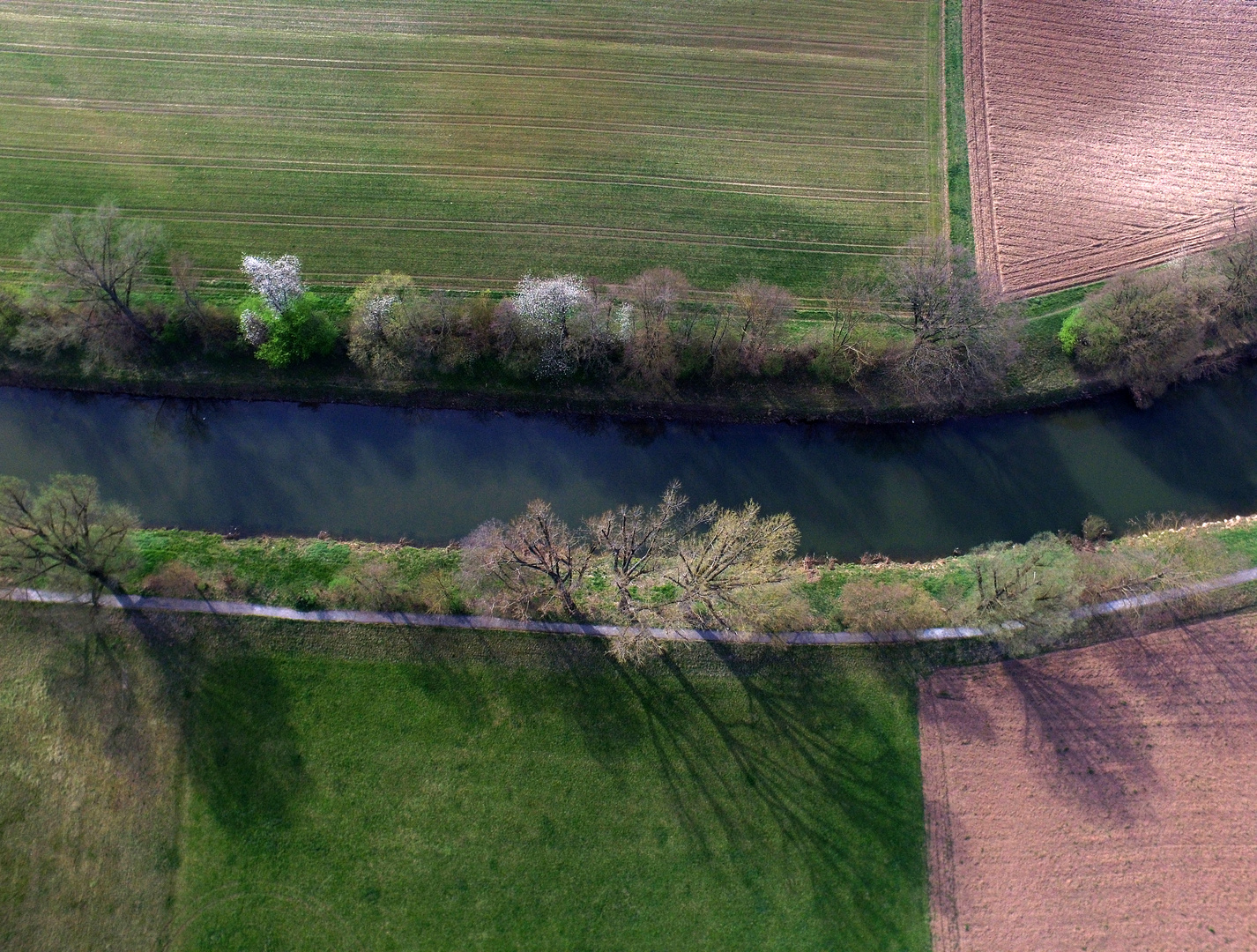 Rems im Frühling