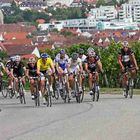 Rems-Murr-Pokal und Badenwürttembergische Bergmeisterschaft