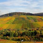 Remstal Weinberge bei Stetten