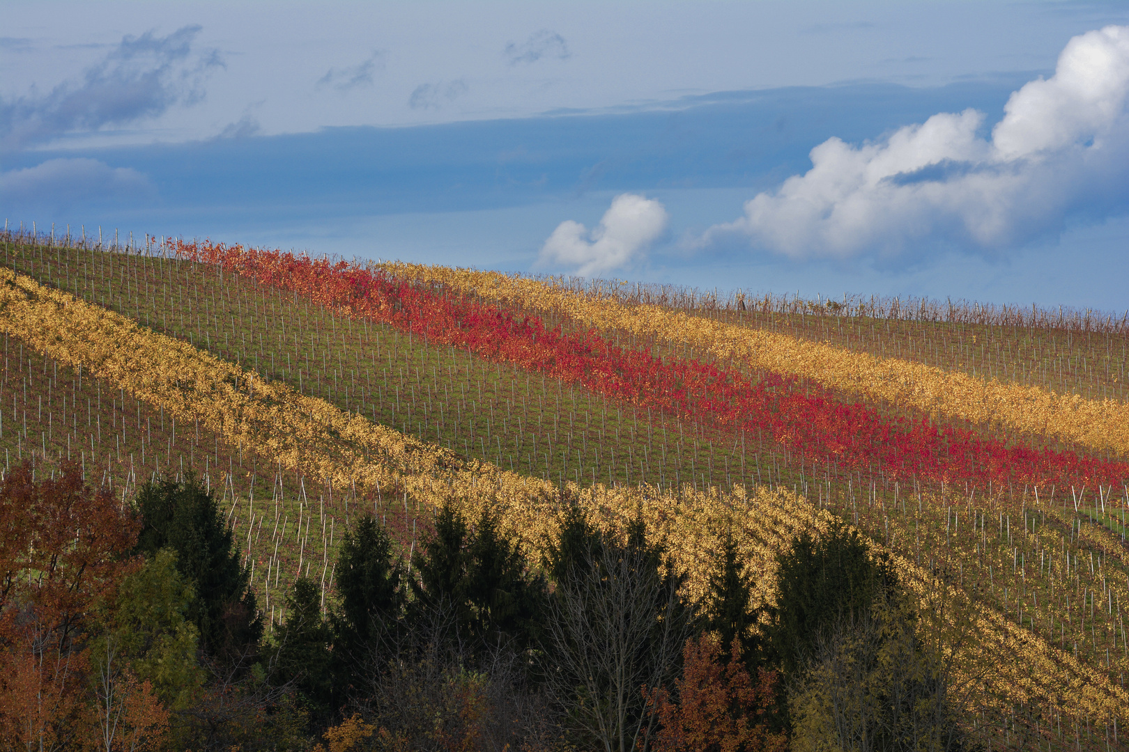 Remstal Weinberge