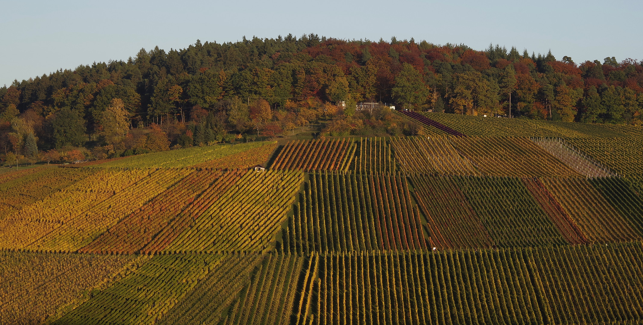 Remstaler Herbst 2016...4