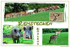 Remstecken