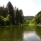 Remue-ménage dans l'eau !