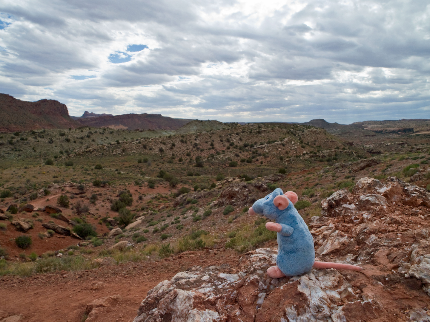 remy in utah archers