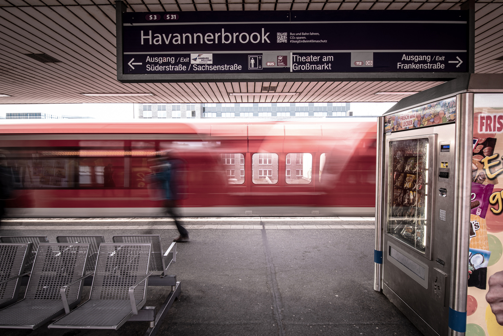 Ren Hammerbrook Havannerbrook