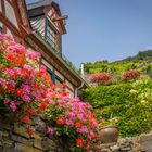 Renaissance Fachwerk mit Garten - Bacharach/Mittelrhein