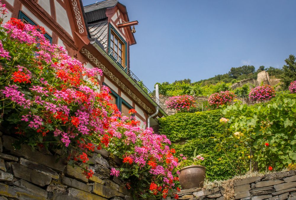 Renaissance Fachwerk mit Garten - Bacharach/Mittelrhein