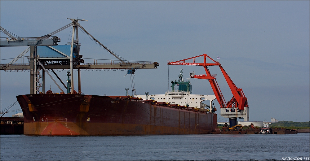 RENATE N / Bulk Carrier  (2)