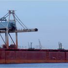 RENATE N / Bulk Carrier