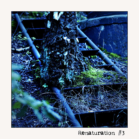 Renaturation #3