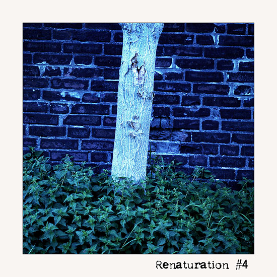 Renaturation #4