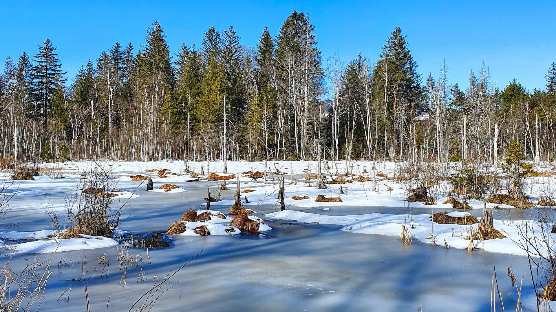 Renaturiert und momentan in Winterruhe