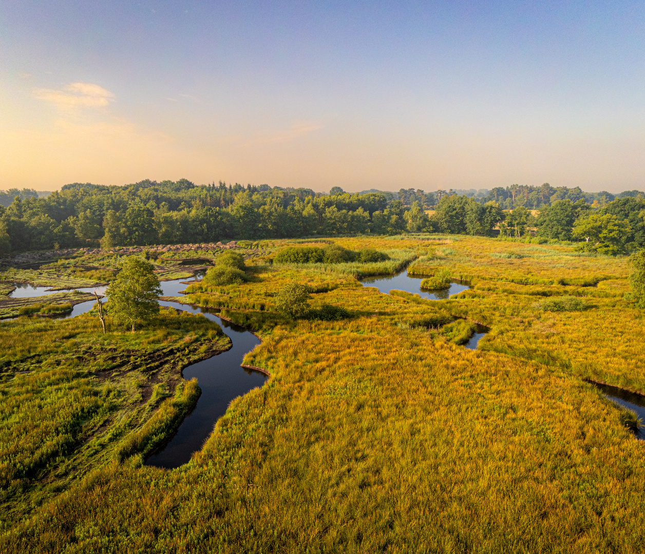 Renaturierte Landschaft - Liether Moor