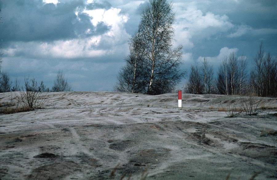 Renaturierte Tagebaulandschaft