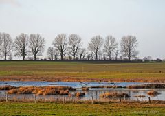 Renaturierte Wiesen am Bülker Huk_3