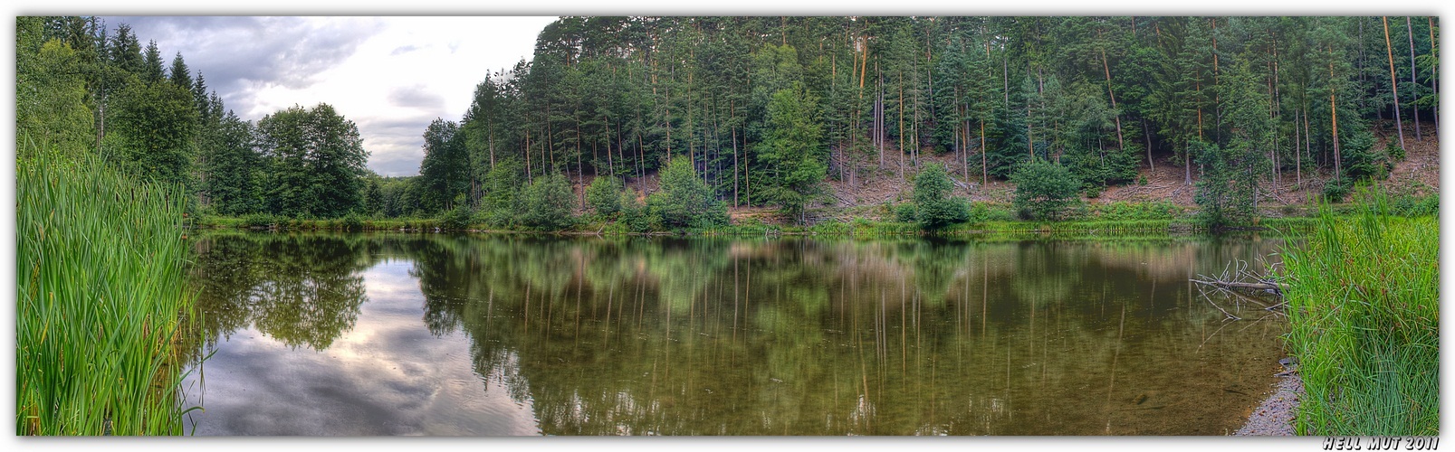 Renaturierter Weiher...