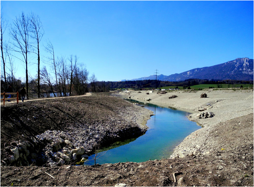 Renaturierung der Aare