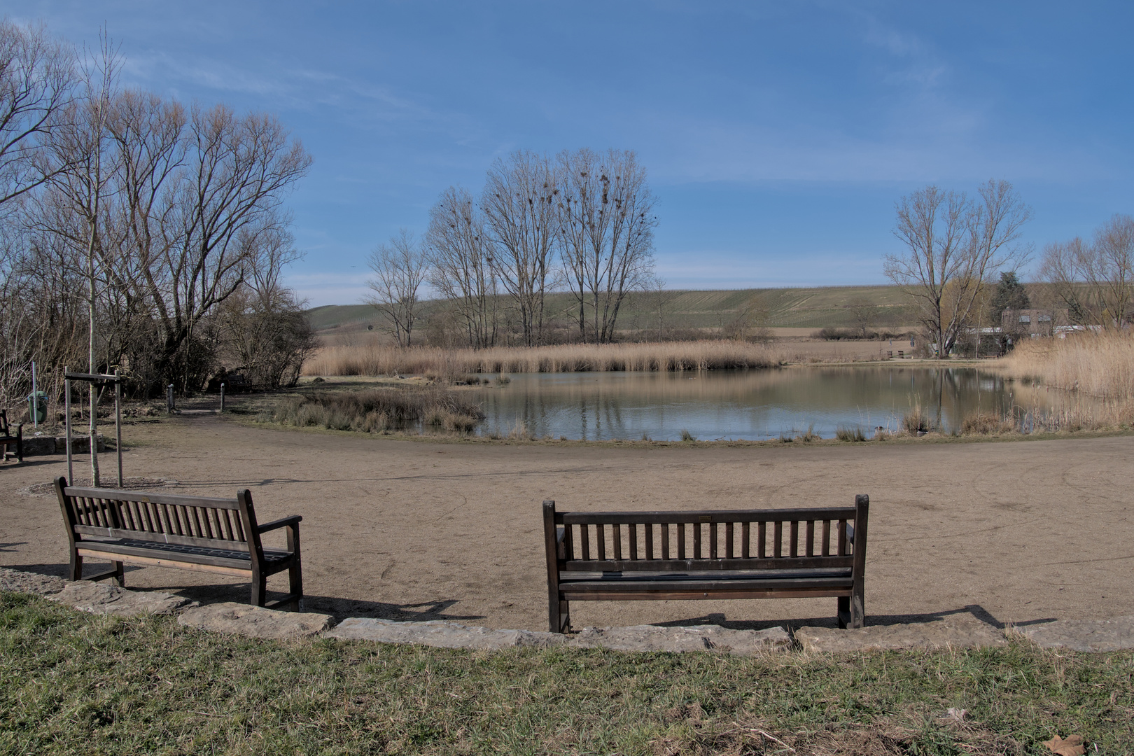  Renaturierung in Saulheim