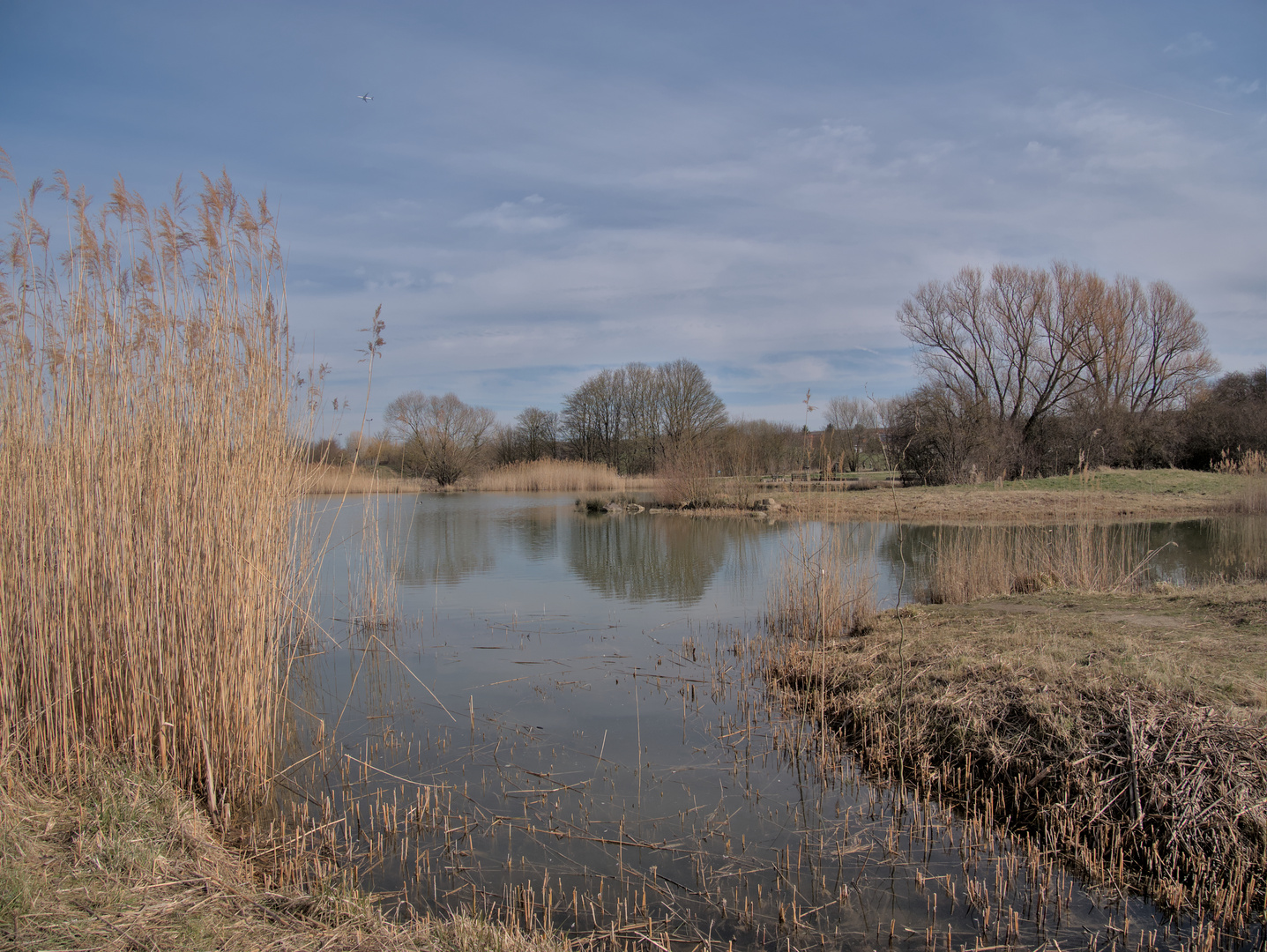  Renaturierung in Saulheim