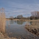  Renaturierung in Saulheim