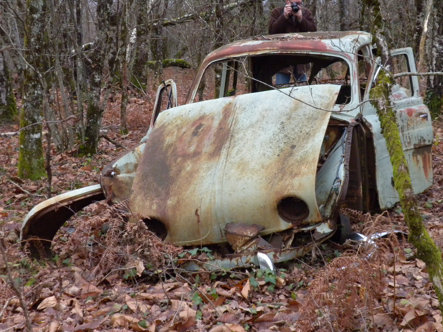 Renault Douphine