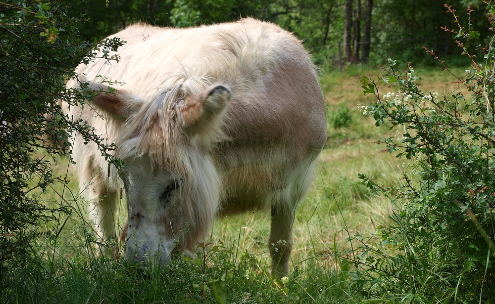 Rencontre