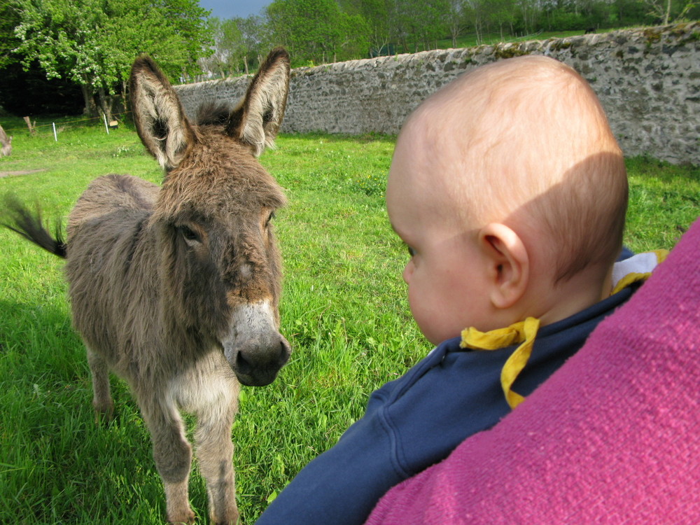 RENCONTRE